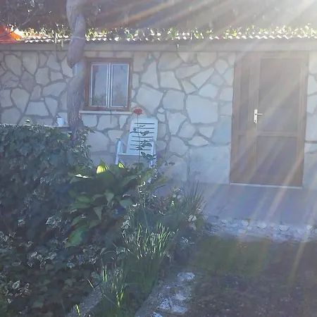 Villa Biankura Blato (Korcula)
