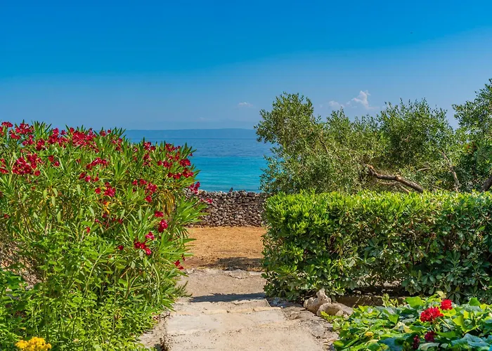 Prázdninový dům Biankura *